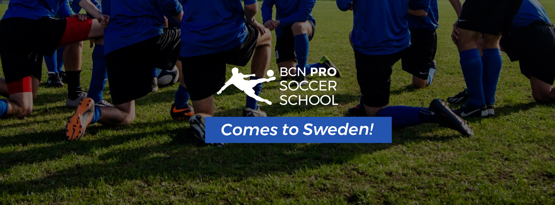 facebook-sweden-proschool